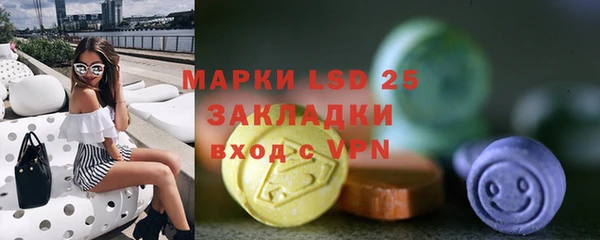 apvp Аркадак