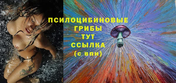apvp Аркадак