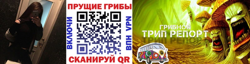 Купить  Бавлы  Галлюциногенные грибы прущие грибы 